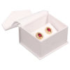 Oceanside Post Earring Box