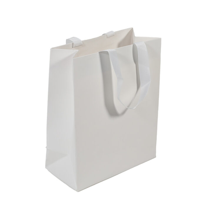 Large Ribbon Handle Bag Vertical - Image 4